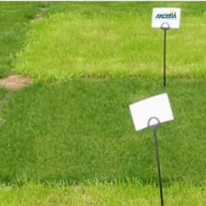 photo of Axcella 2 growing in square plot