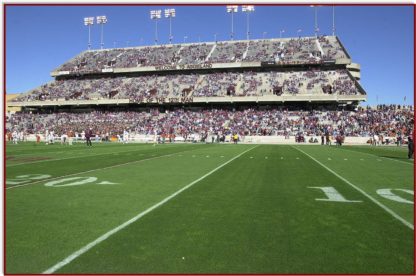 Nelson Panterra Turfgrass growing in sports arena