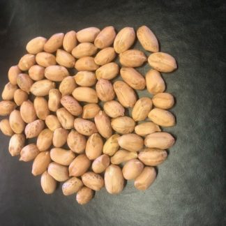 pile of NemaTAM II Shelled Peanuts