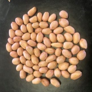 pile of shelled Tamnut OL06 peanuts