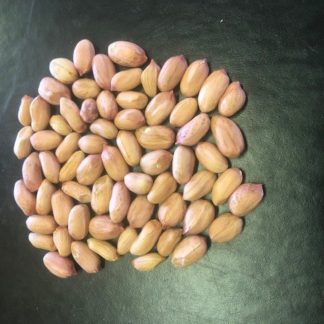 pile of Webb shelled peanuts