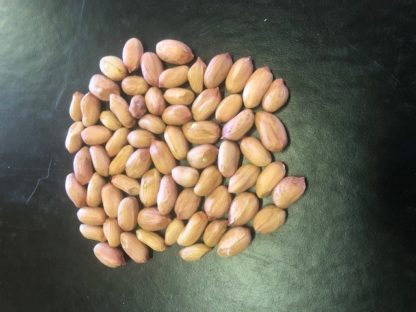 pile of Webb shelled peanuts