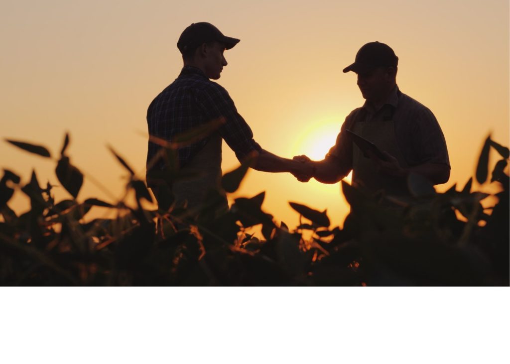 Farmers shaking hands in field at sunset