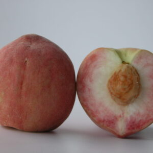 whole Whilte Delight peach and one cut in half showing the pit